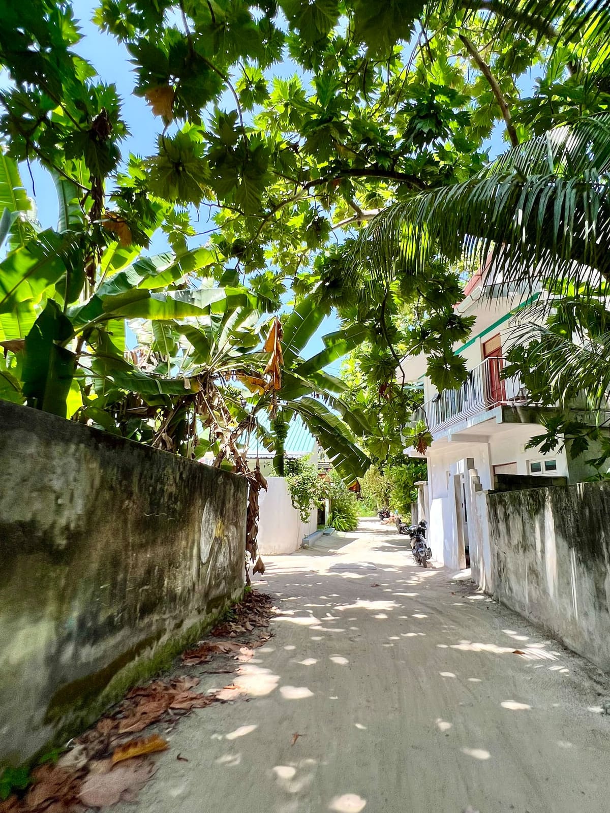 A quiet, leafy island lane by the villa