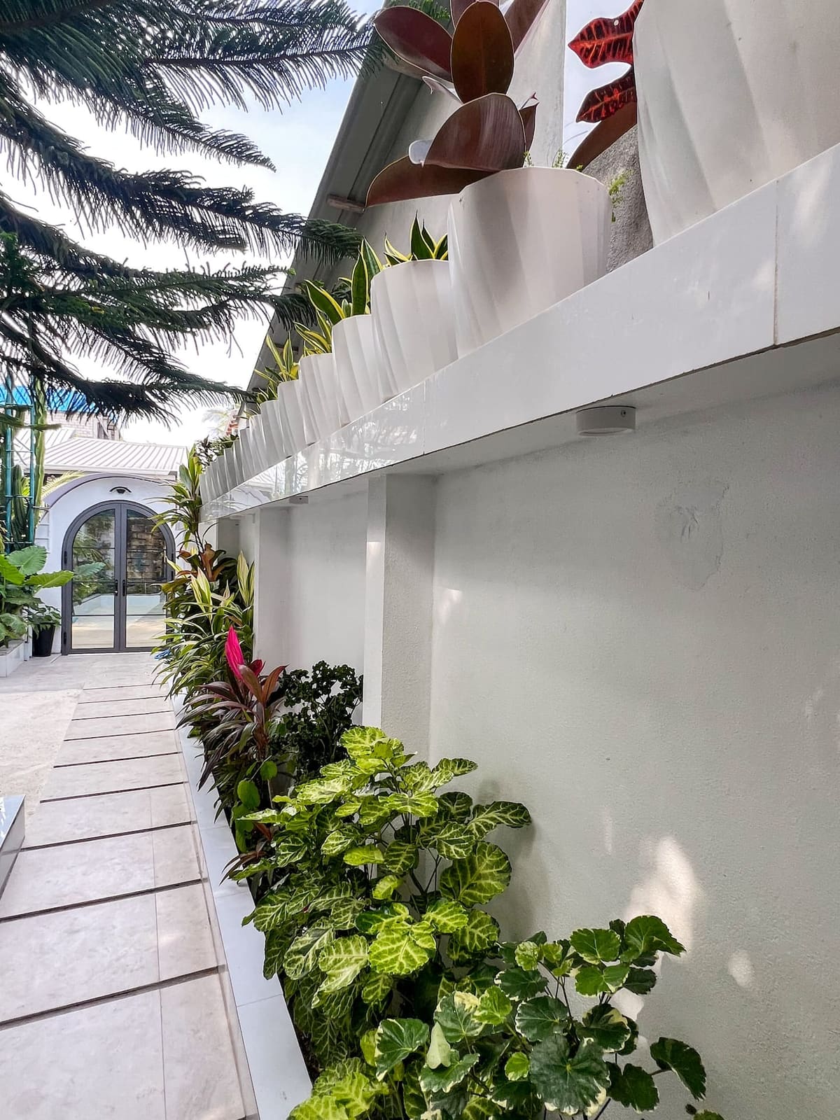 A leafy garden path at Sosun View